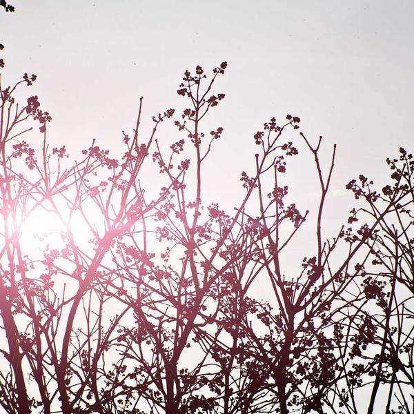 Adipiscing amet ipsum