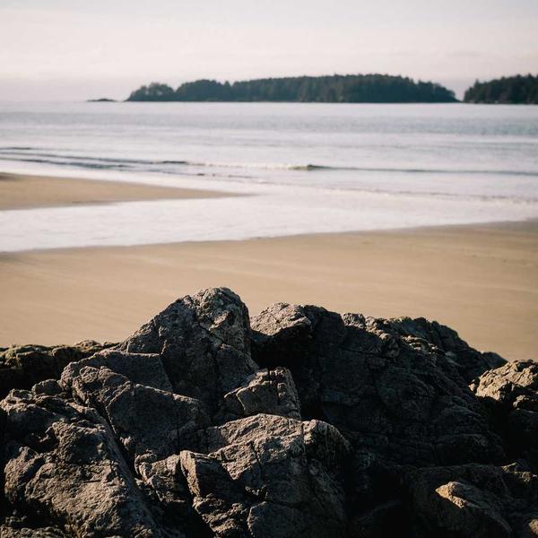 Adipiscing ipsum sit